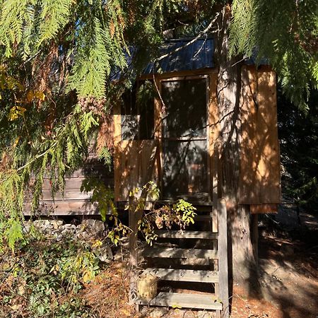 Cutest Little Cabin In The Woods Moyie Springs Esterno foto