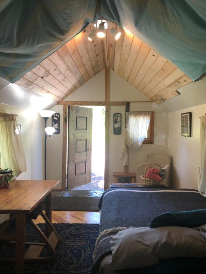 Cutest Little Cabin In The Woods Moyie Springs Esterno foto