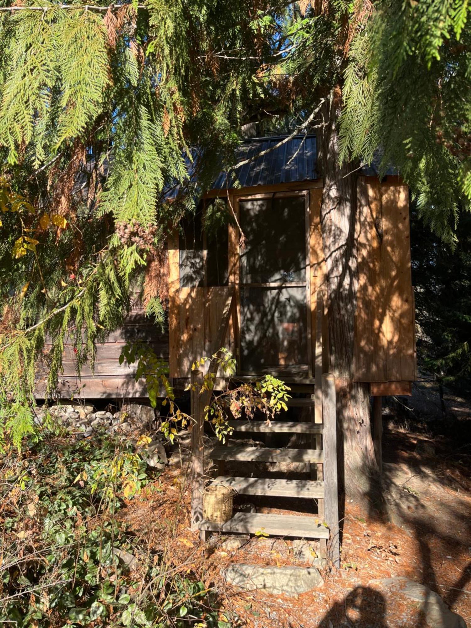 Cutest Little Cabin In The Woods Moyie Springs Esterno foto